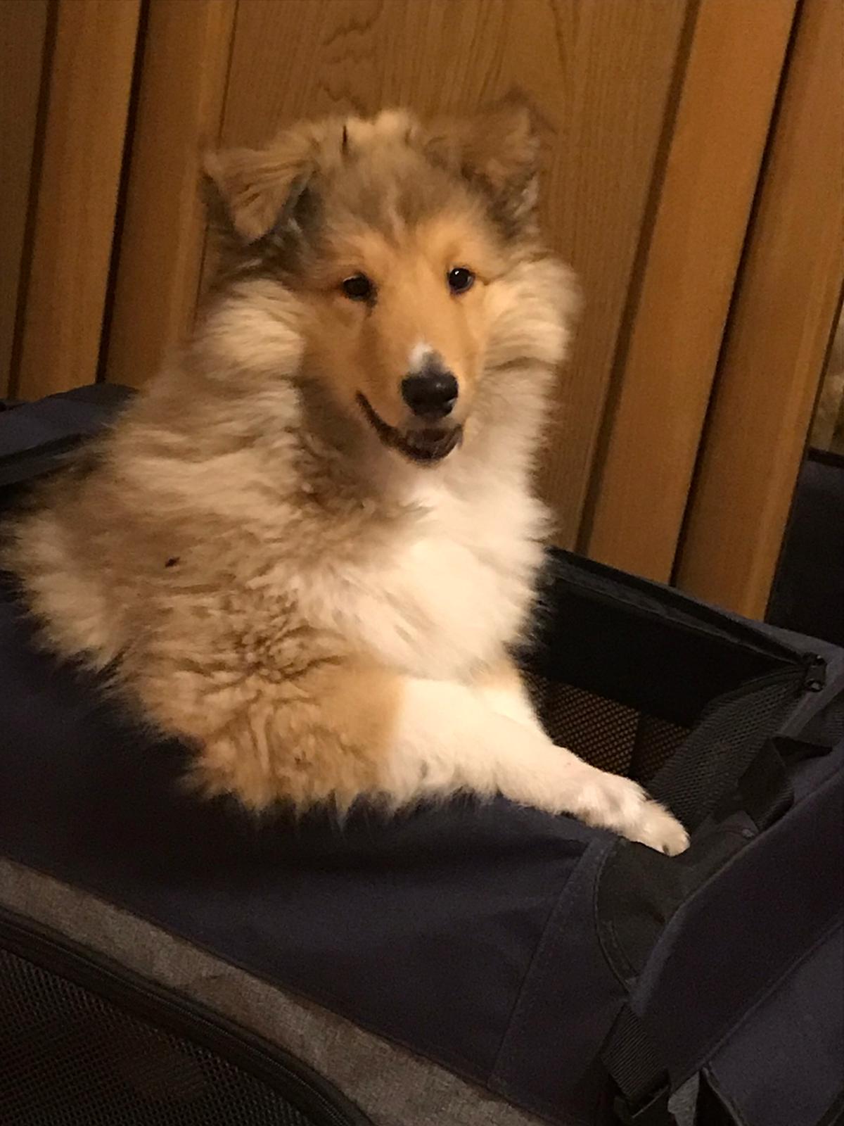 35a840ac-9002-4e0a-ba8a-82b954b9ef01