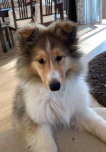 37f92a7d-afce-4334-894b-19559bca67e8