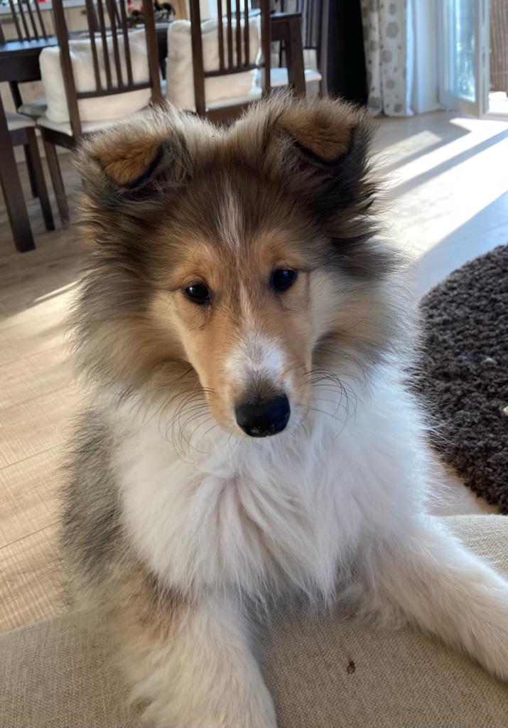 37f92a7d-afce-4334-894b-19559bca67e8