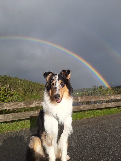 57393710-3644-4bca-a587-3a487ade4f44