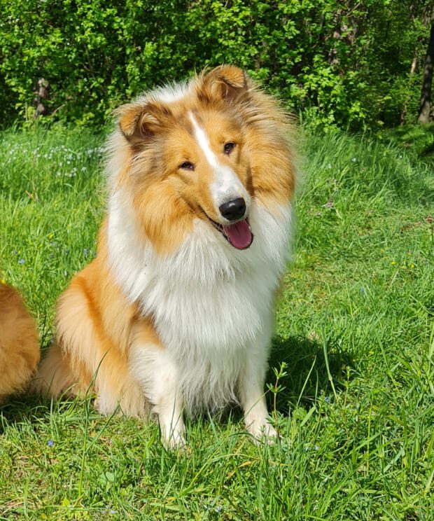 586456d2-e1af-43ca-83c8-655a535bfc09