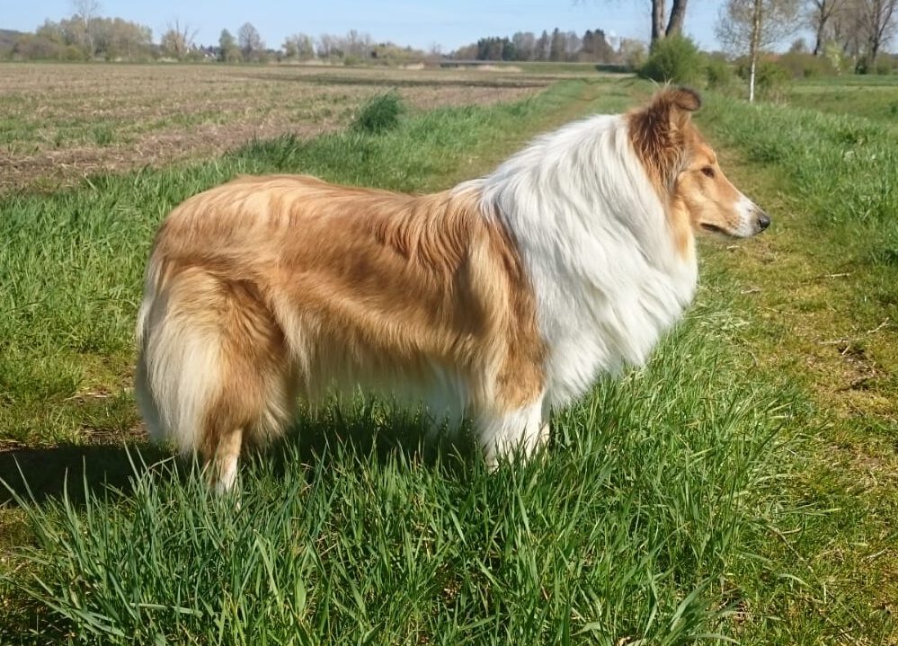 878df069-14dc-415b-b05f-daa052785cc3