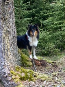 c5fbb477-ec9c-4a2c-a6e3-2e56babee415