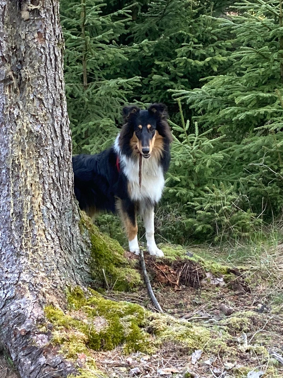 c5fbb477-ec9c-4a2c-a6e3-2e56babee415