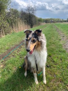 c770d3d6-7278-4eaa-95aa-65f47d6e86ef