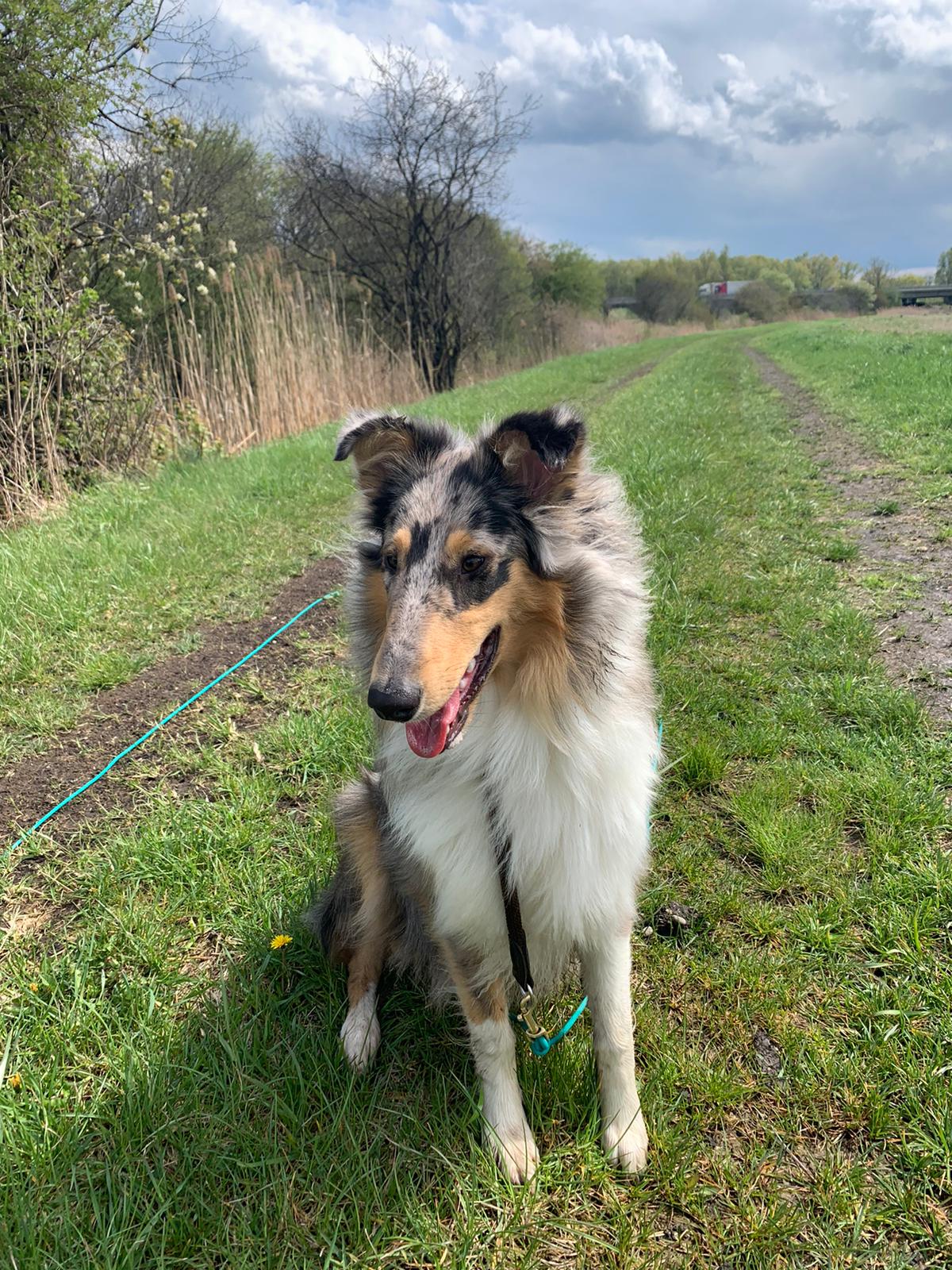 c770d3d6-7278-4eaa-95aa-65f47d6e86ef