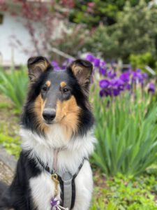 e8736f4e-15e0-43be-bba7-65882727f972