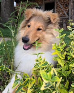 3b17a4ec-df3c-43b4-af6a-c2ecc3cf001b