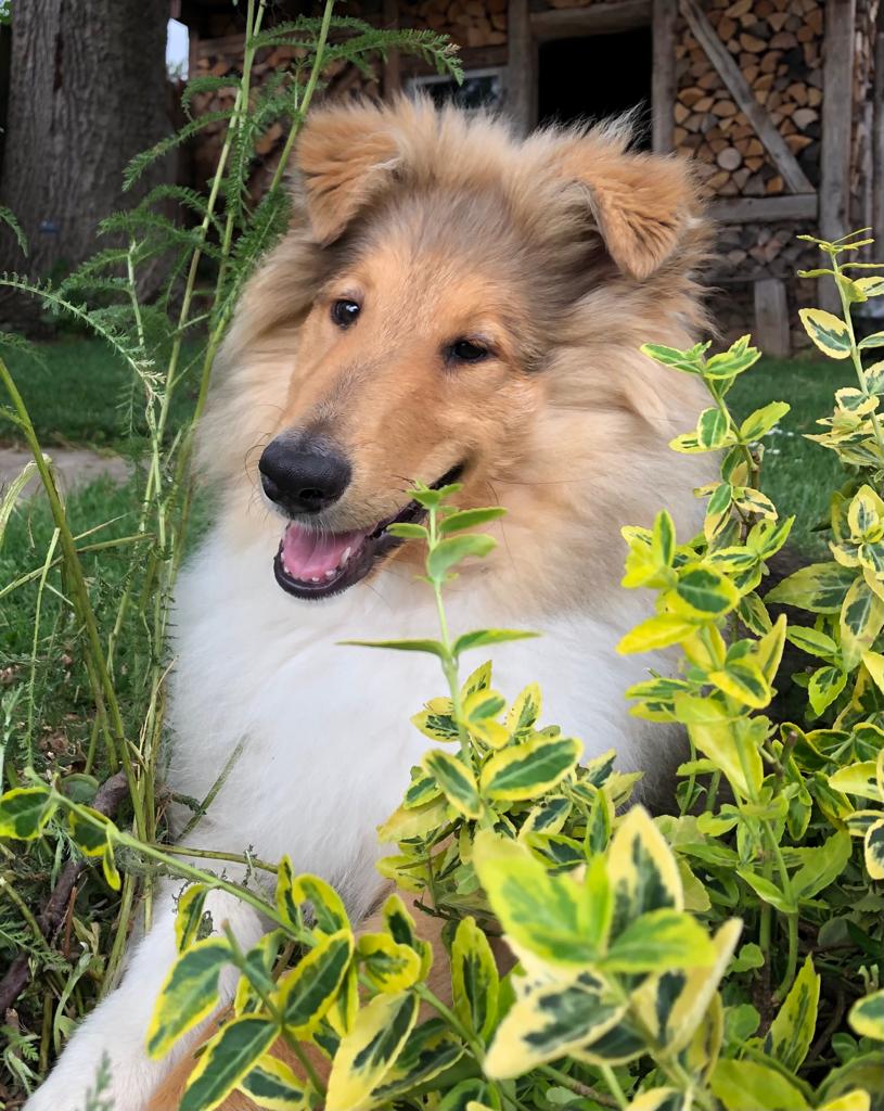 3b17a4ec-df3c-43b4-af6a-c2ecc3cf001b