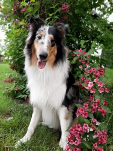 f68713a9-041d-42a7-a9b7-680654c6c939