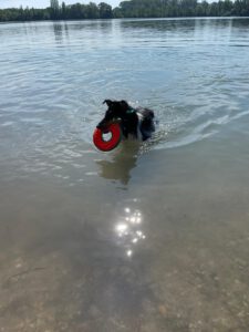 lulani_juni2021_swim