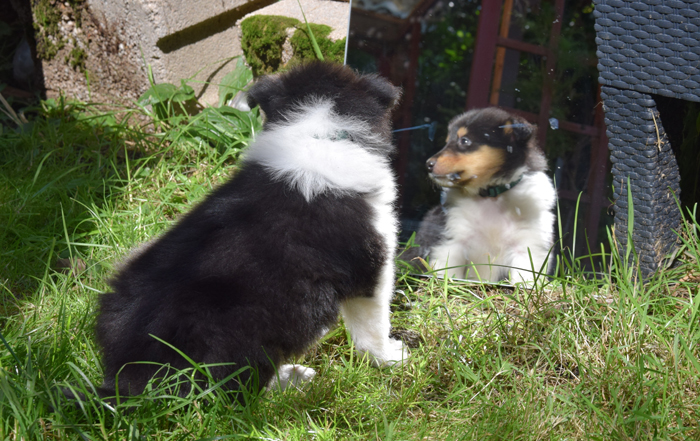 5W dunkelgruen Nathan