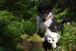 7W dnkelgruen Nathan