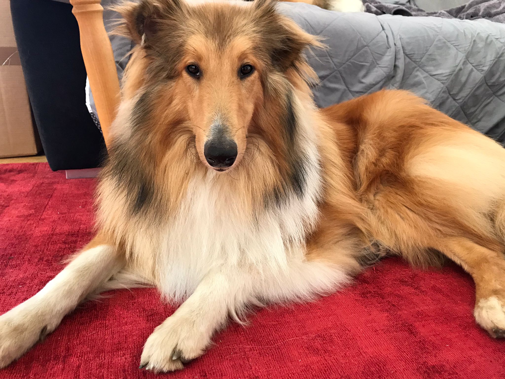 0c8d802f-9886-4845-8900-bd66dbde8a05