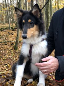 2151df6c-bdbe-467e-8a41-4f3b2367cbd3