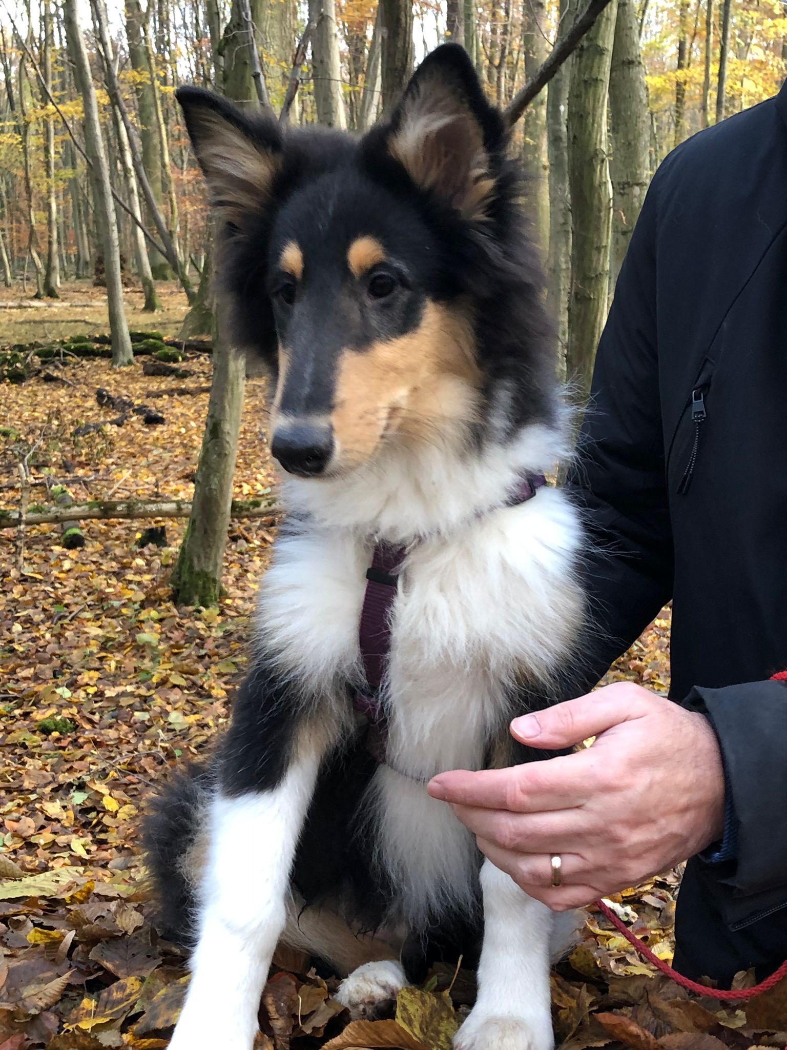 2151df6c-bdbe-467e-8a41-4f3b2367cbd3