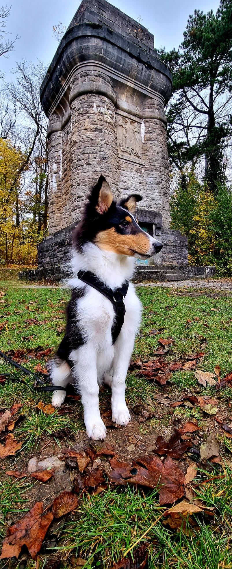 3eb5c4ec-8157-46eb-ae58-f8daa9319f8c