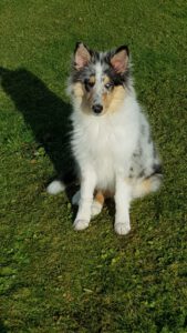 4c4267bd-f7aa-4dcb-9271-8574c2fea63b