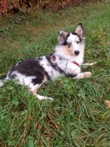 553599a2-e263-40c2-a8ba-a5c7d5a58395