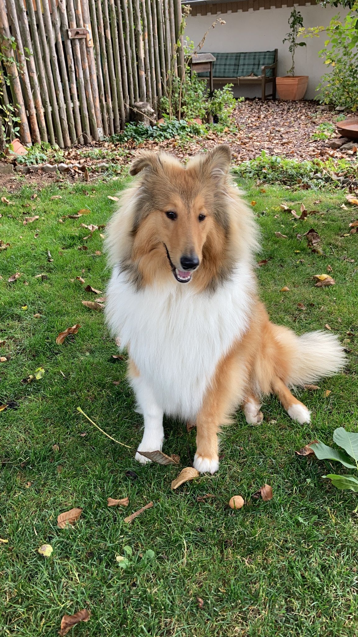 73311529-a147-4000-8333-4bf04aa30451