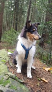 b6ba580d-2288-4b19-b2c2-c757971e1427