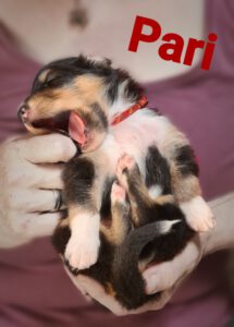 2022-06-12-12-32-22-486