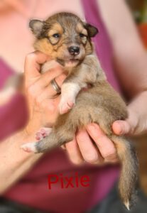 2022-06-14-20-10-30-762