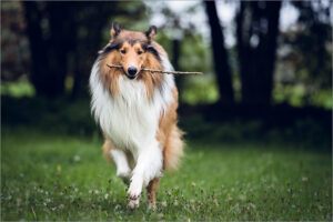 20220602200115-2515-M