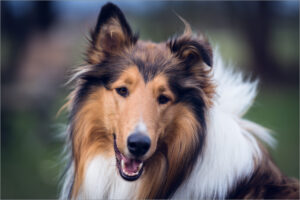 20220602200303-2513-L