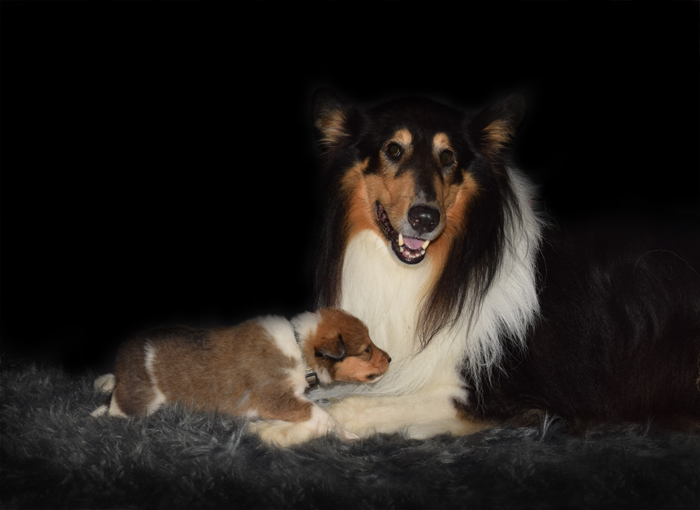 3W Quint weiß Kopie