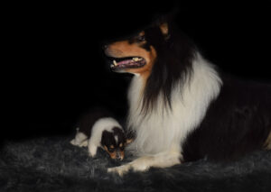 3W Quirin blau Kopie