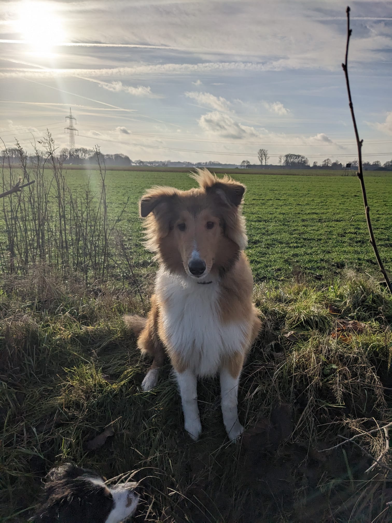 WhatsApp Bild 2023-01-05 um 15.38.33