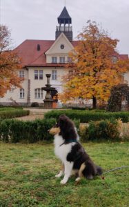 WhatsApp Bild 2023-01-05 um 15.39.05