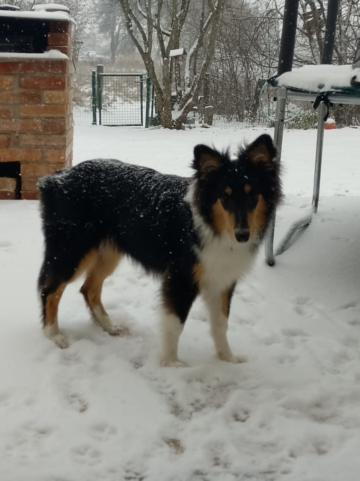 WhatsApp Bild 2023-01-05 um 15.40.36