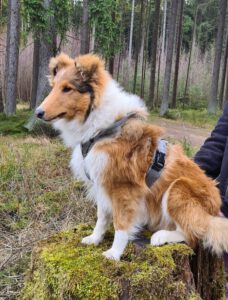 WhatsApp Bild 2023-01-05 um 15.42.41